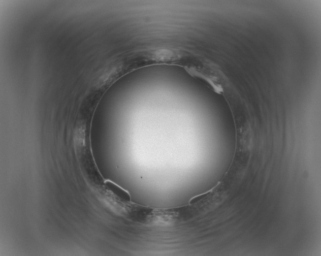 X0000081280368200701181749