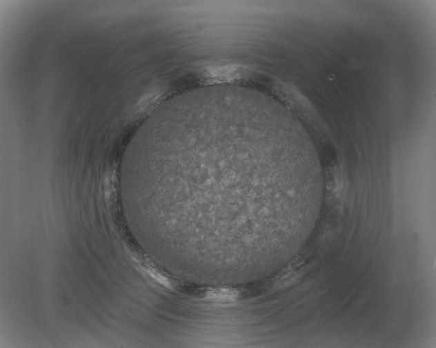 X0000081280369200701181749