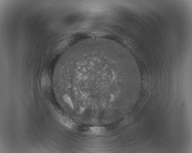 X0000081280371200701181749