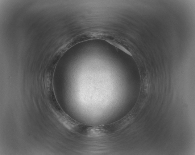 X0000081280372200701181749