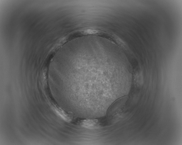 X0000081280373200701181749