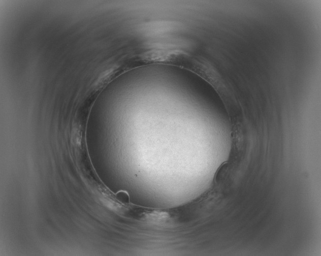 X0000081280374200701181749