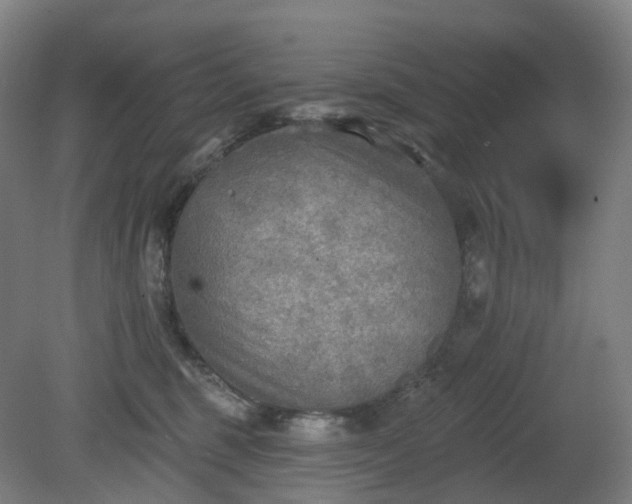 X0000081280375200701181749