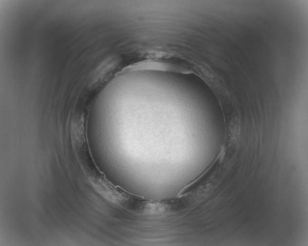 X0000081280376200701181749