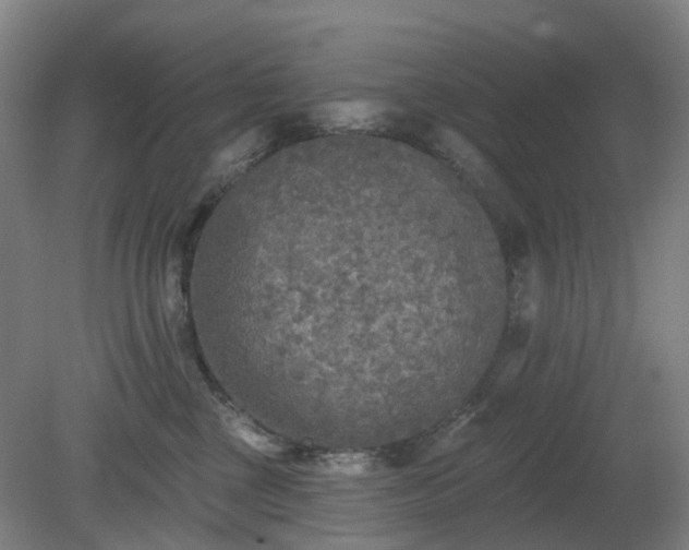 X0000081280377200701181749