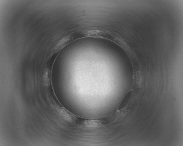 X0000081280378200701181749