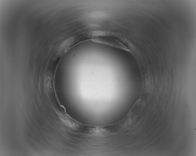 X0000081280379200701181749