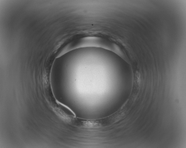 X0000081280380200701181749