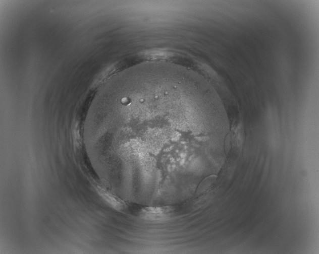 X0000081280381200701181749