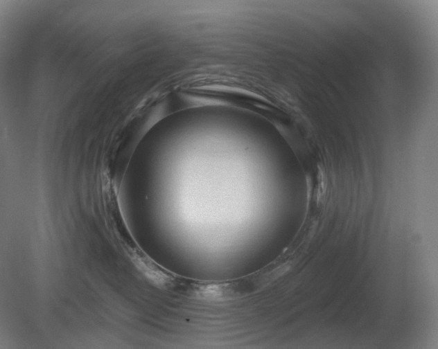 X0000081280382200701181749