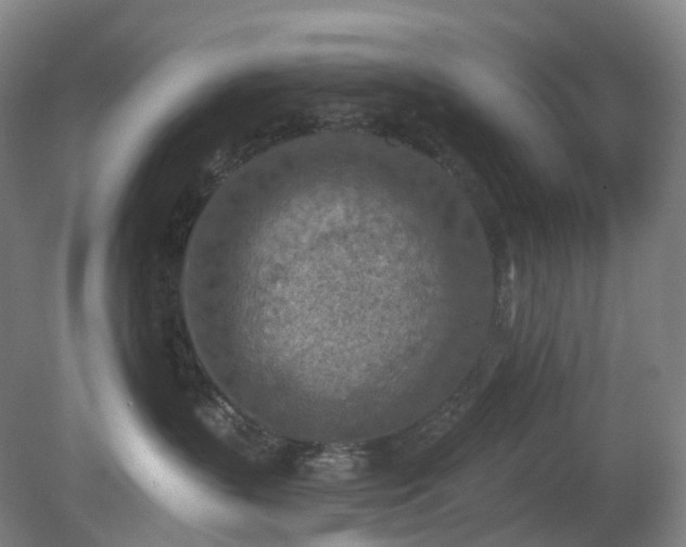 X0000081280383200701181749