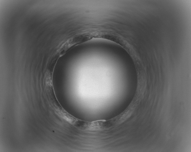 X0000081280384200701181749