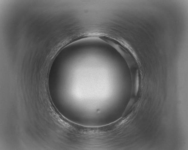 X0000081280385200701181748