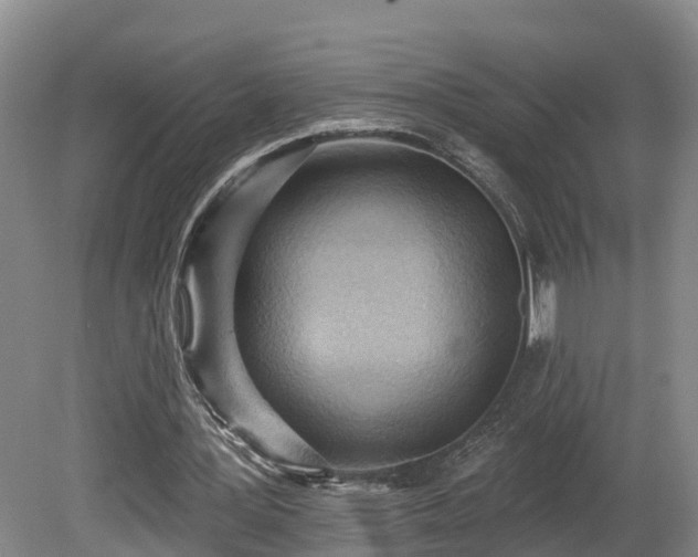 X0000081280387200701181748