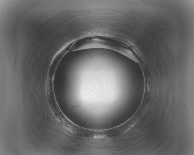 X0000081280388200701181748