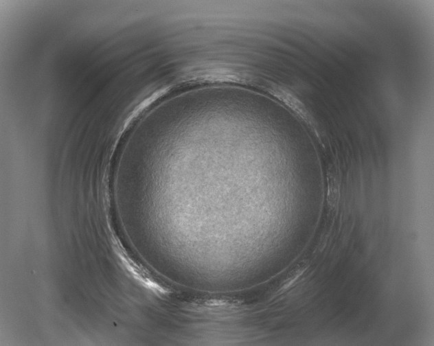 X0000081280390200701181748