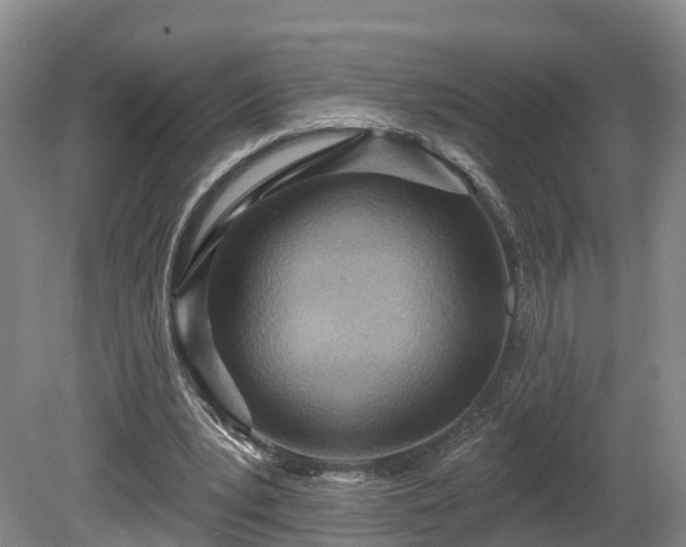 X0000081280391200701181748