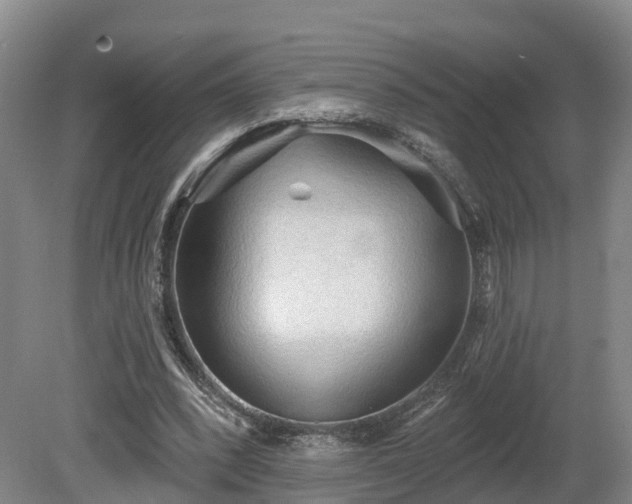 X0000081280392200701181748