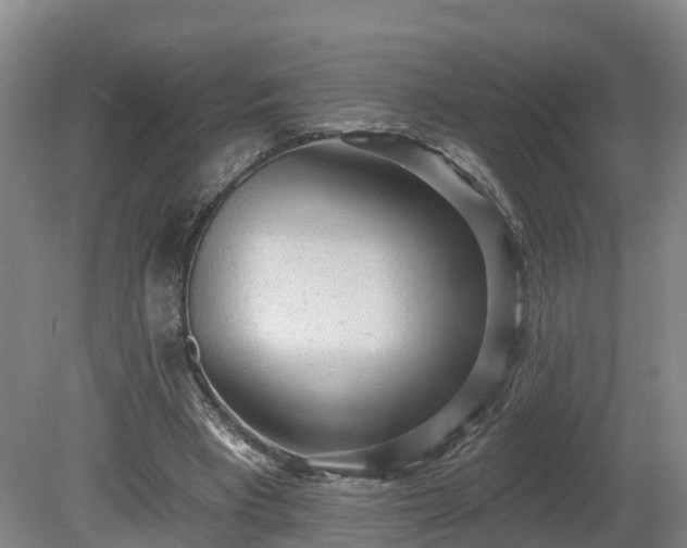 X0000081280393200701181748