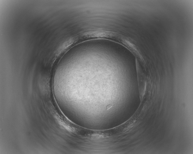 X0000081280394200701181748