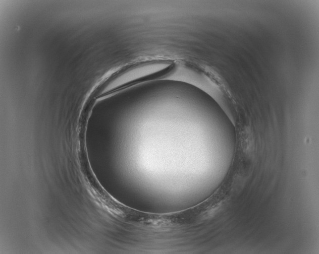 X0000081280395200701181748