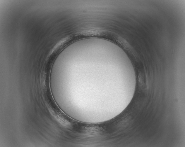 X0000081280396200701181748