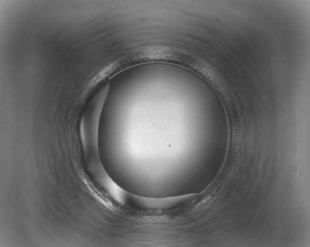 X0000081280397200701181748