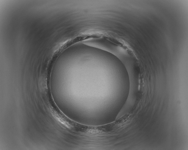 X0000081280399200701181748