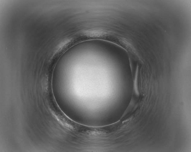 X0000081280400200701181748