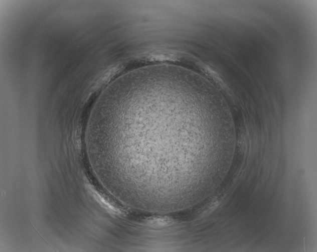 X0000081280402200701181748