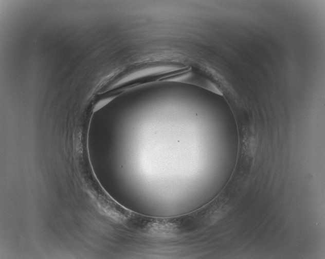 X0000081280403200701181748