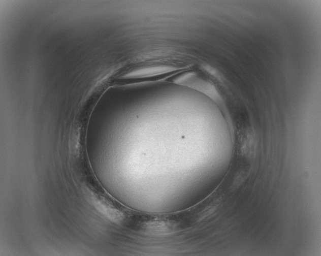 X0000081280404200701181748