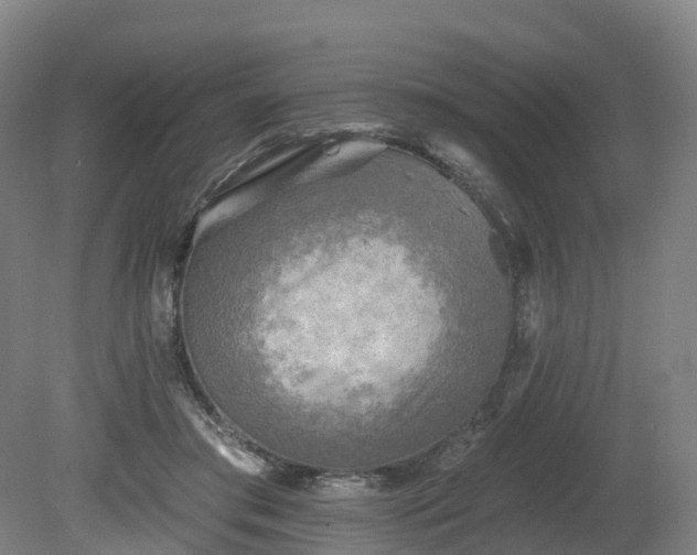 X0000081280405200701181748