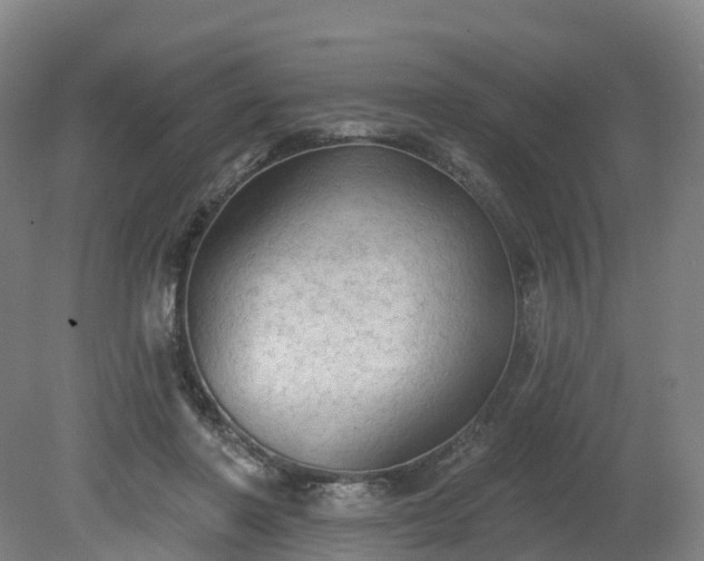 X0000081280406200701181748