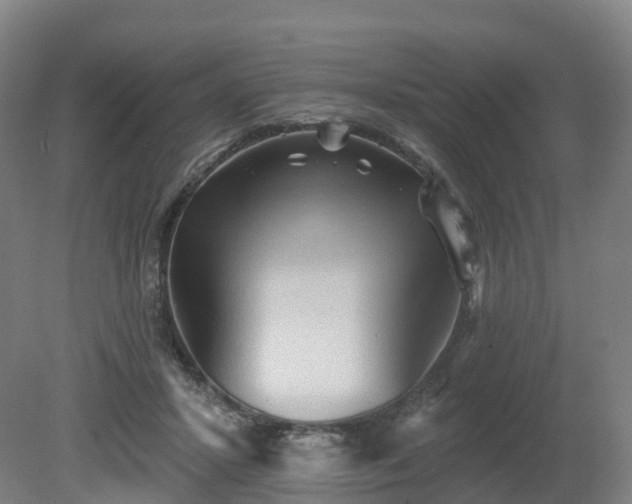 X0000081280407200701181748