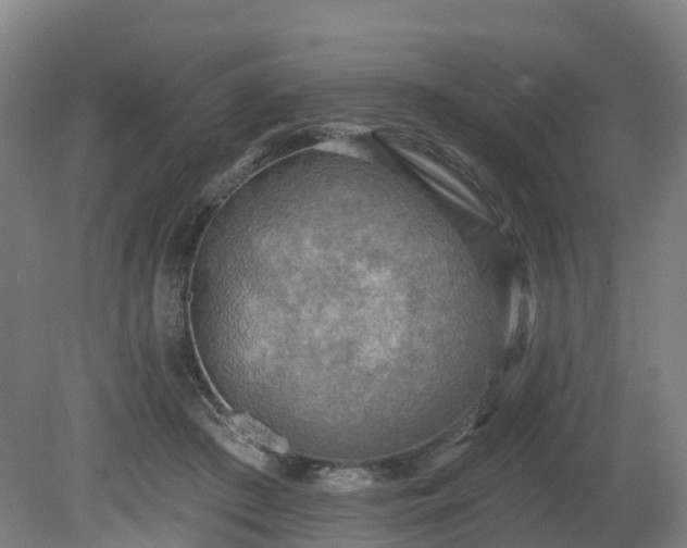 X0000081280409200701181748