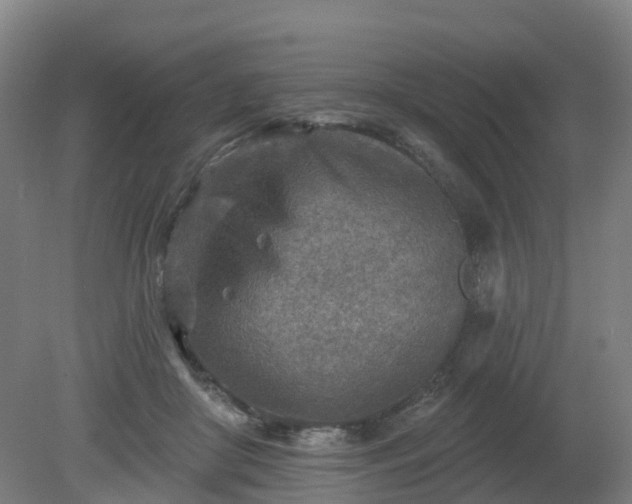 X0000081280410200701181748