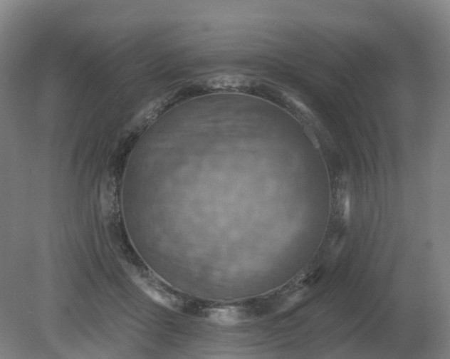 X0000081280411200701181748