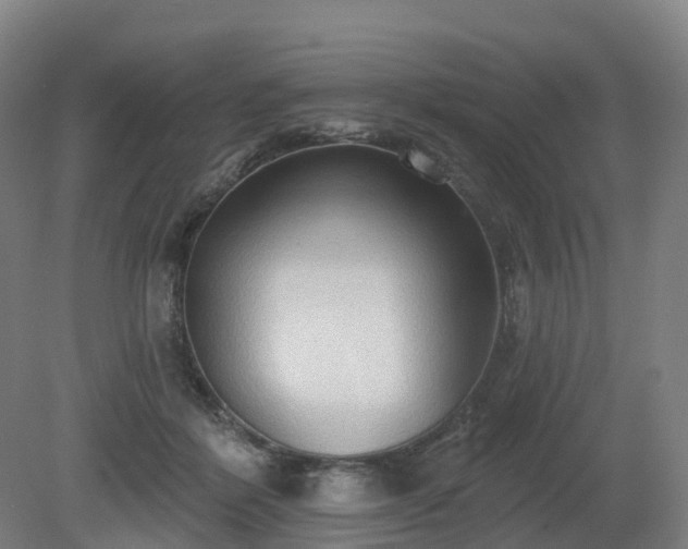 X0000081280412200701181748