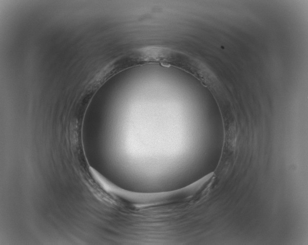 X0000081280413200701181748