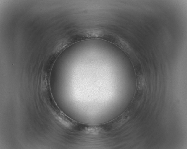 X0000081280414200701181748