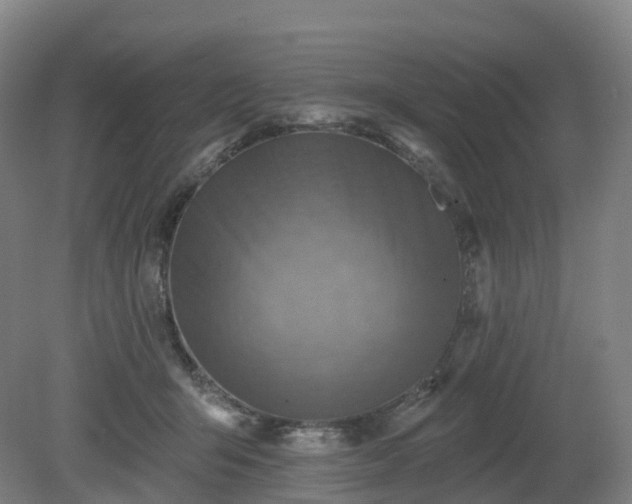 X0000081280415200701181748