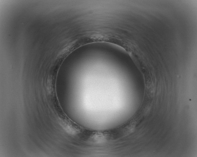 X0000081280416200701181748