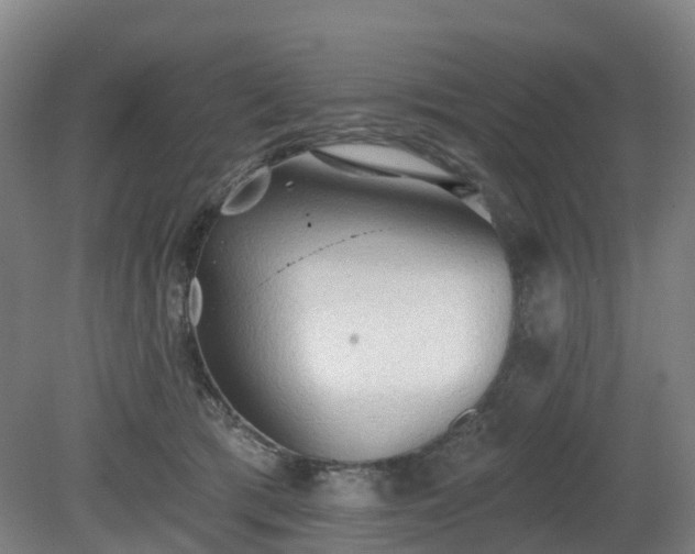 X0000081280417200701181748