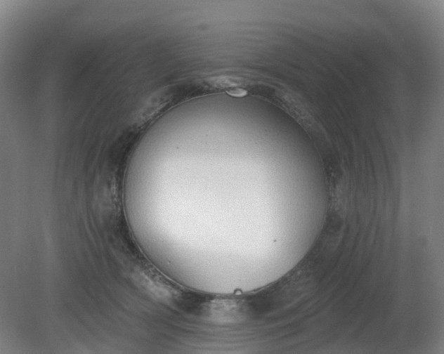 X0000081280418200701181748