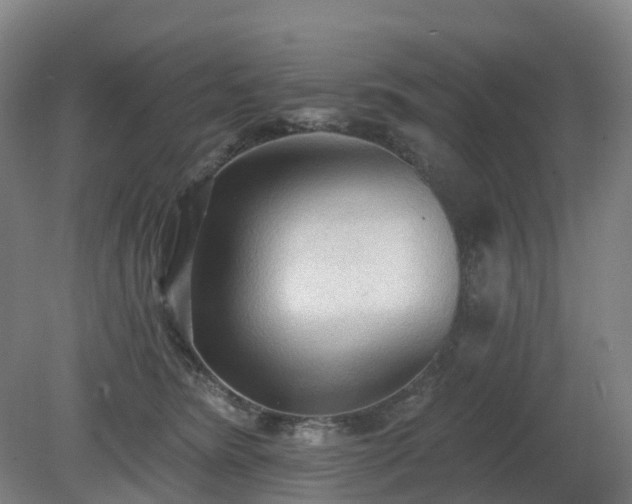 X0000081280420200701181748