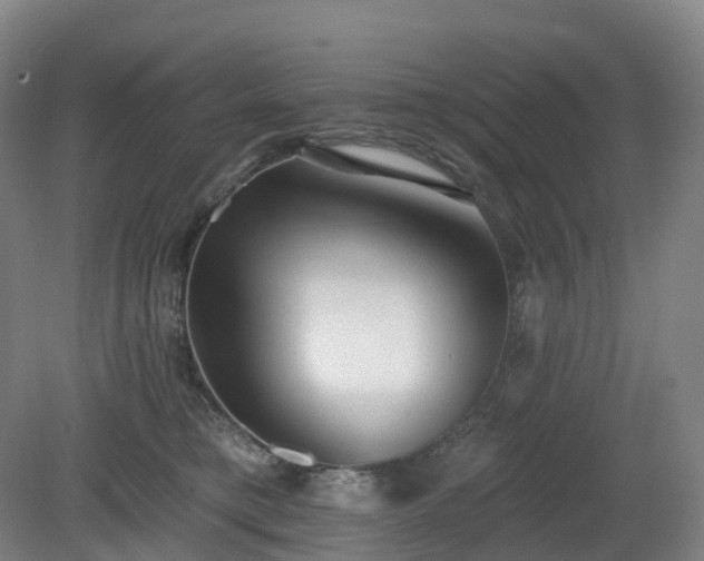 X0000081280421200701181748