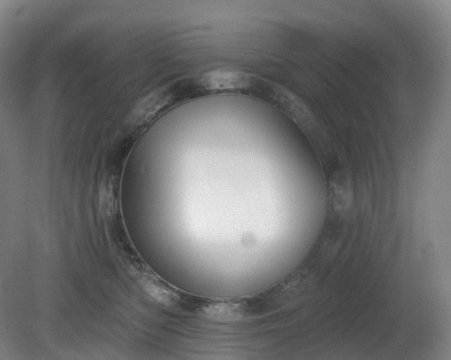 X0000081280422200701181748