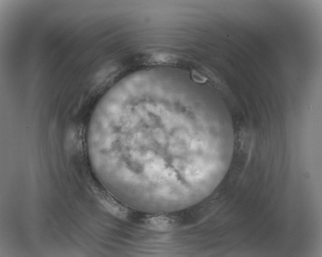 X0000081280423200701181748