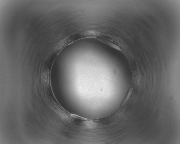 X0000081280425200701181748